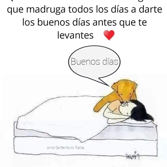 Meet your Posher, Alicia - Picture 15 of 16